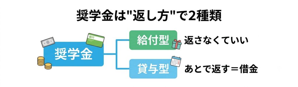 奨学金は返し方で2種類。給付型は返さなくていい、貸与型はあとで返す借金